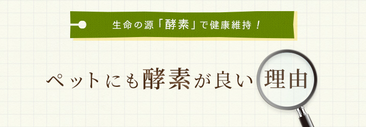 ペットにも酵素が良い理由