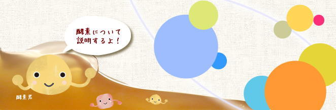酵素について